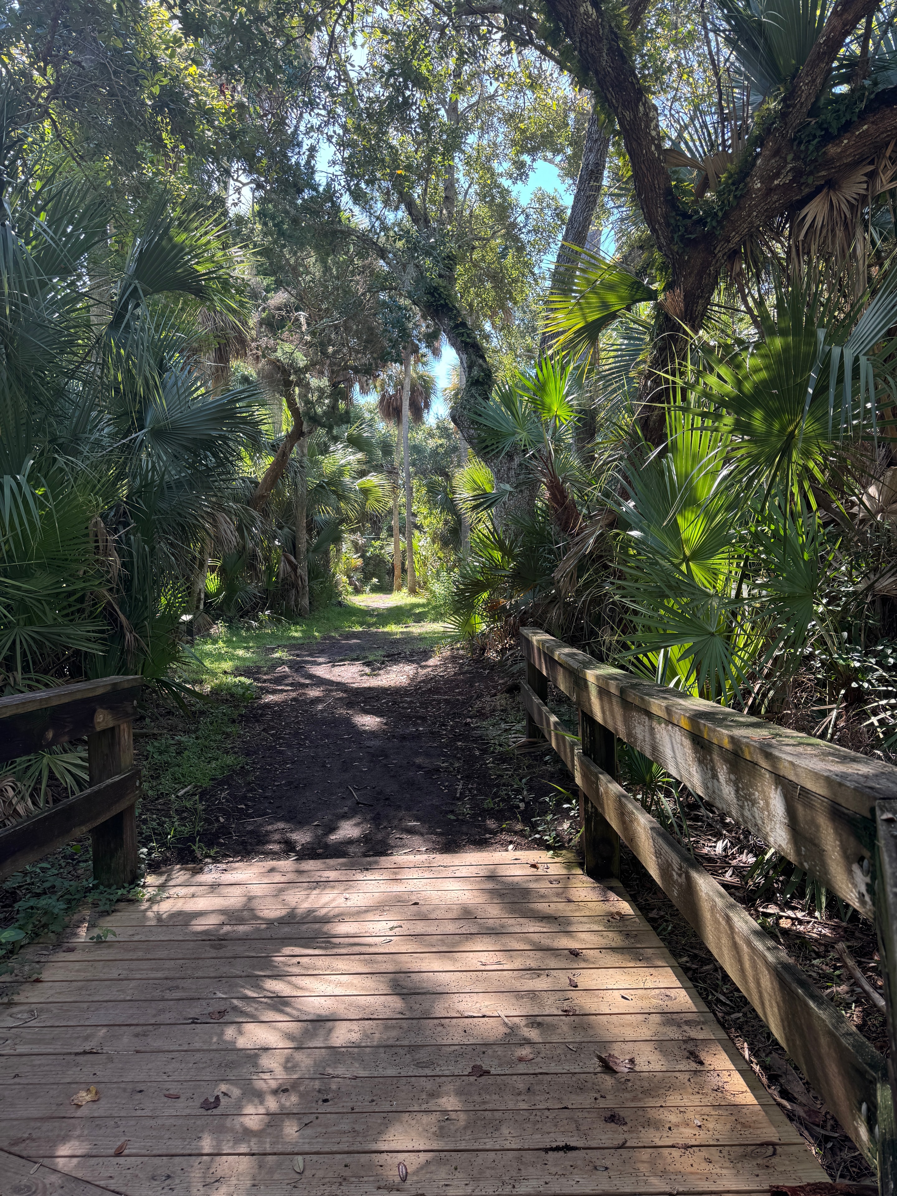 Public dock over the Intracoastal Waterway at Bicentennial Park
